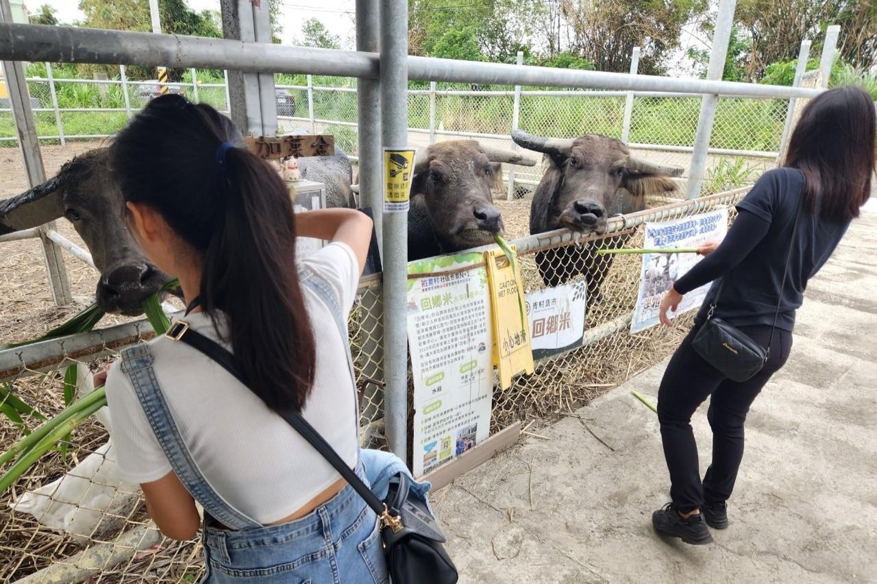 在女性中途之家的成長之路
