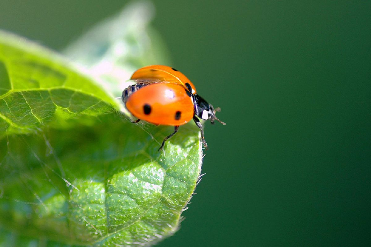 讓孩子們在大自然，找到改變的力量