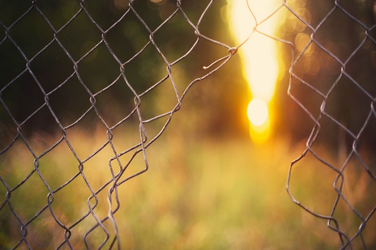 2020的我們－四千個數算珍珠的日子