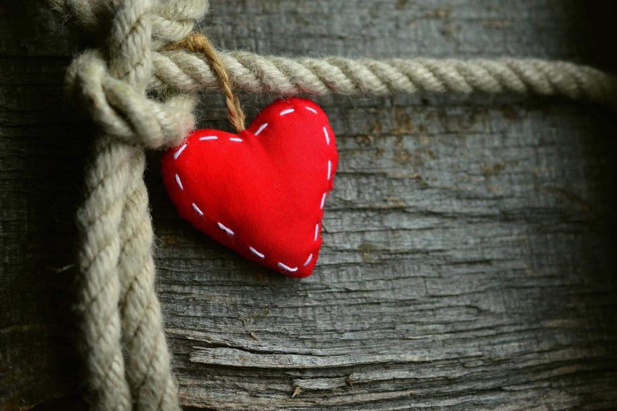 無懼的堅持；無距的愛